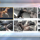 Image for article titled The King Of Fighters Is Back, Minus The 2D Charm